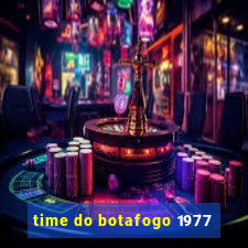 time do botafogo 1977